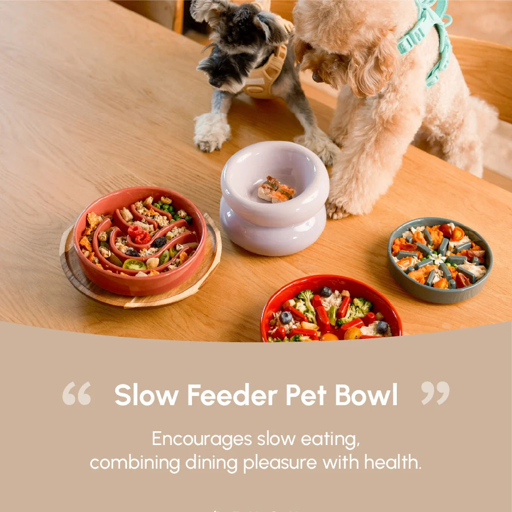 Wave Slow Feeder Dog Bowls
