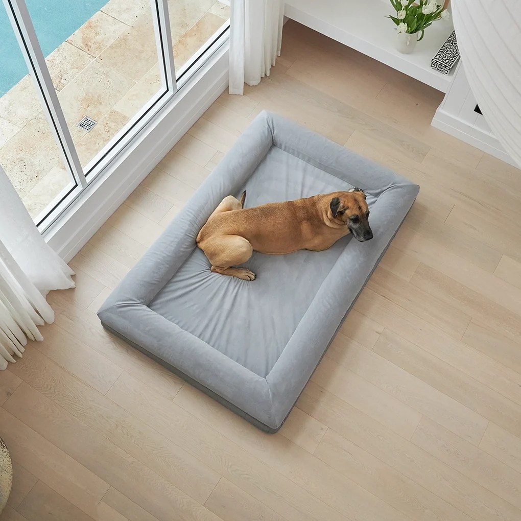 Barney Bed