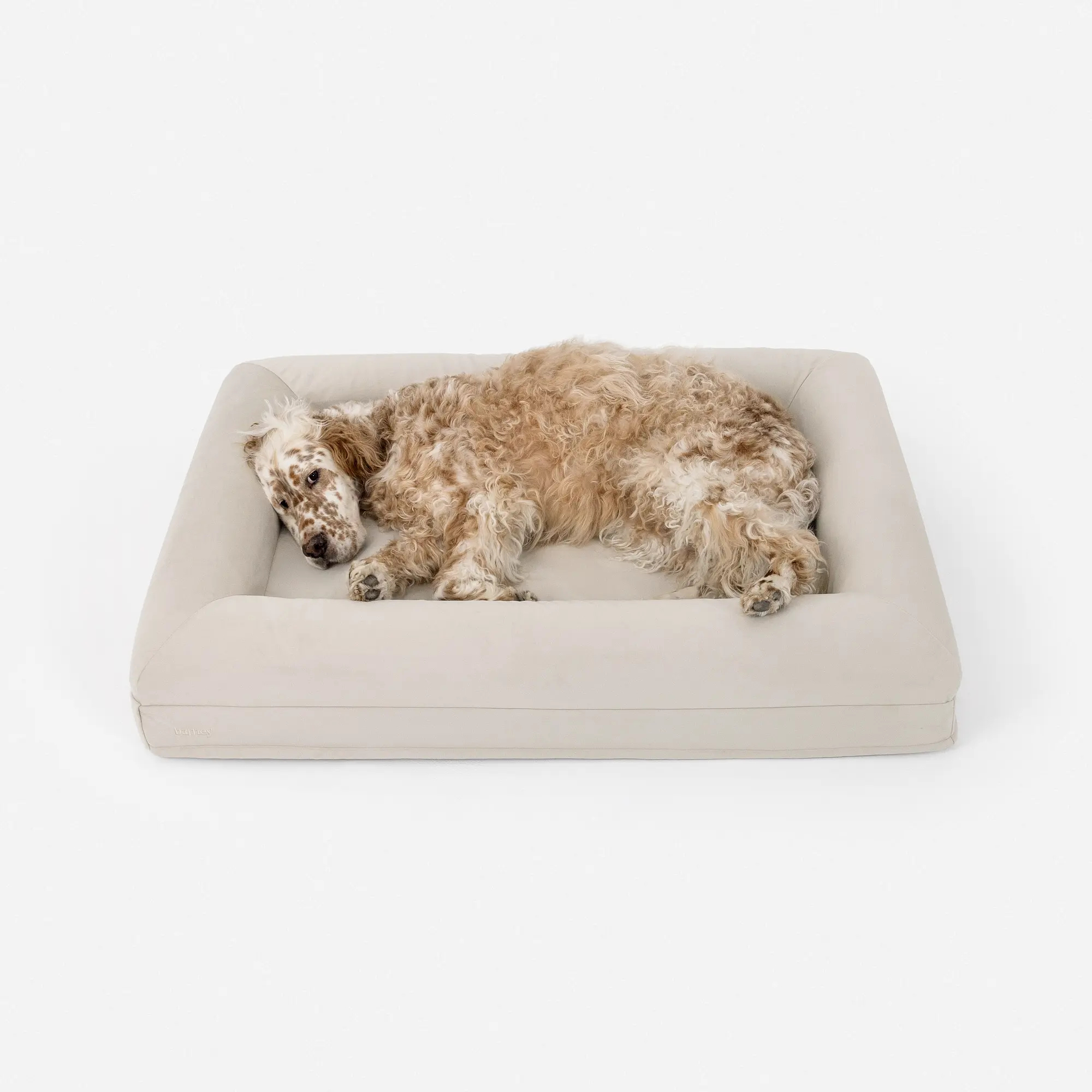 Barney Bed