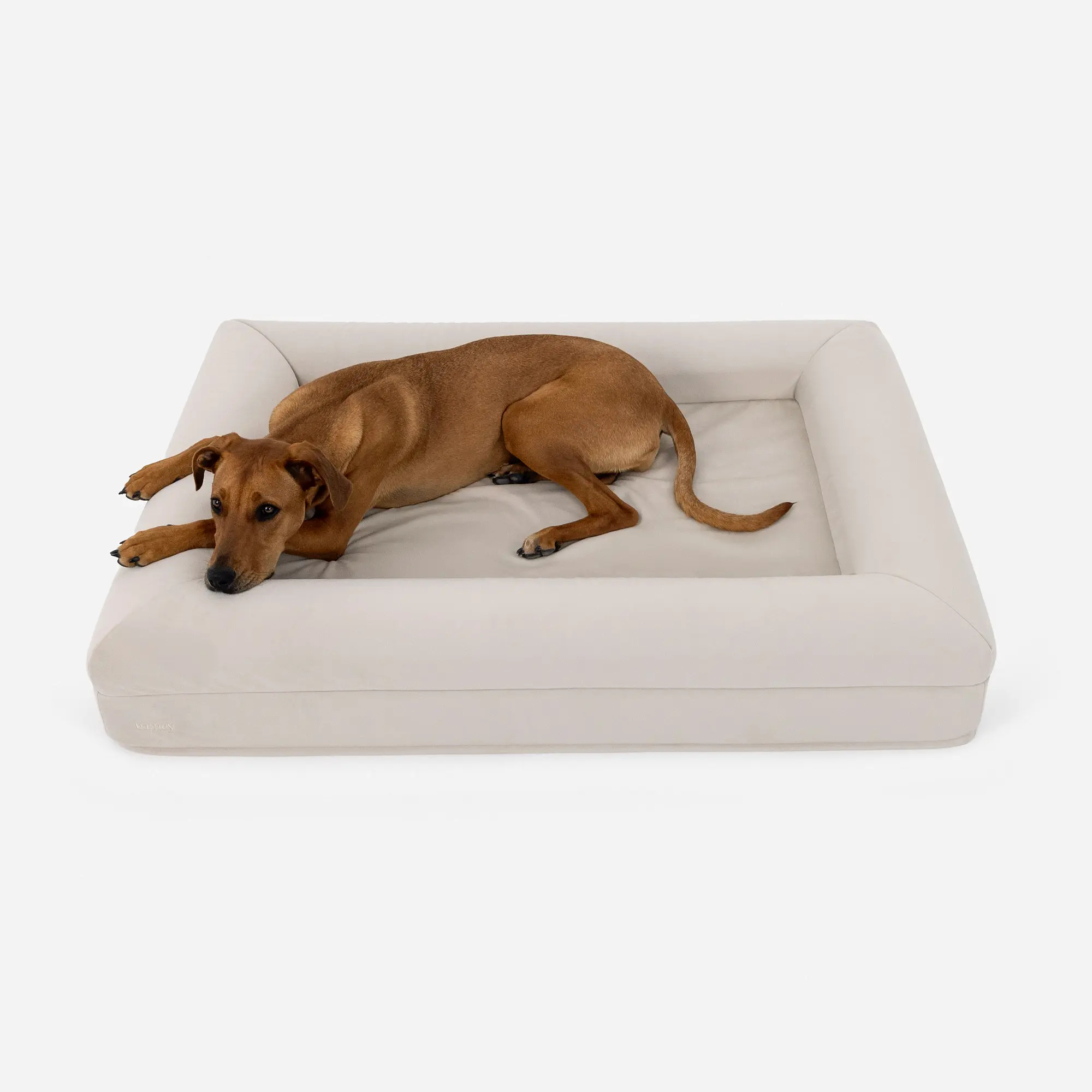 Barney Bed
