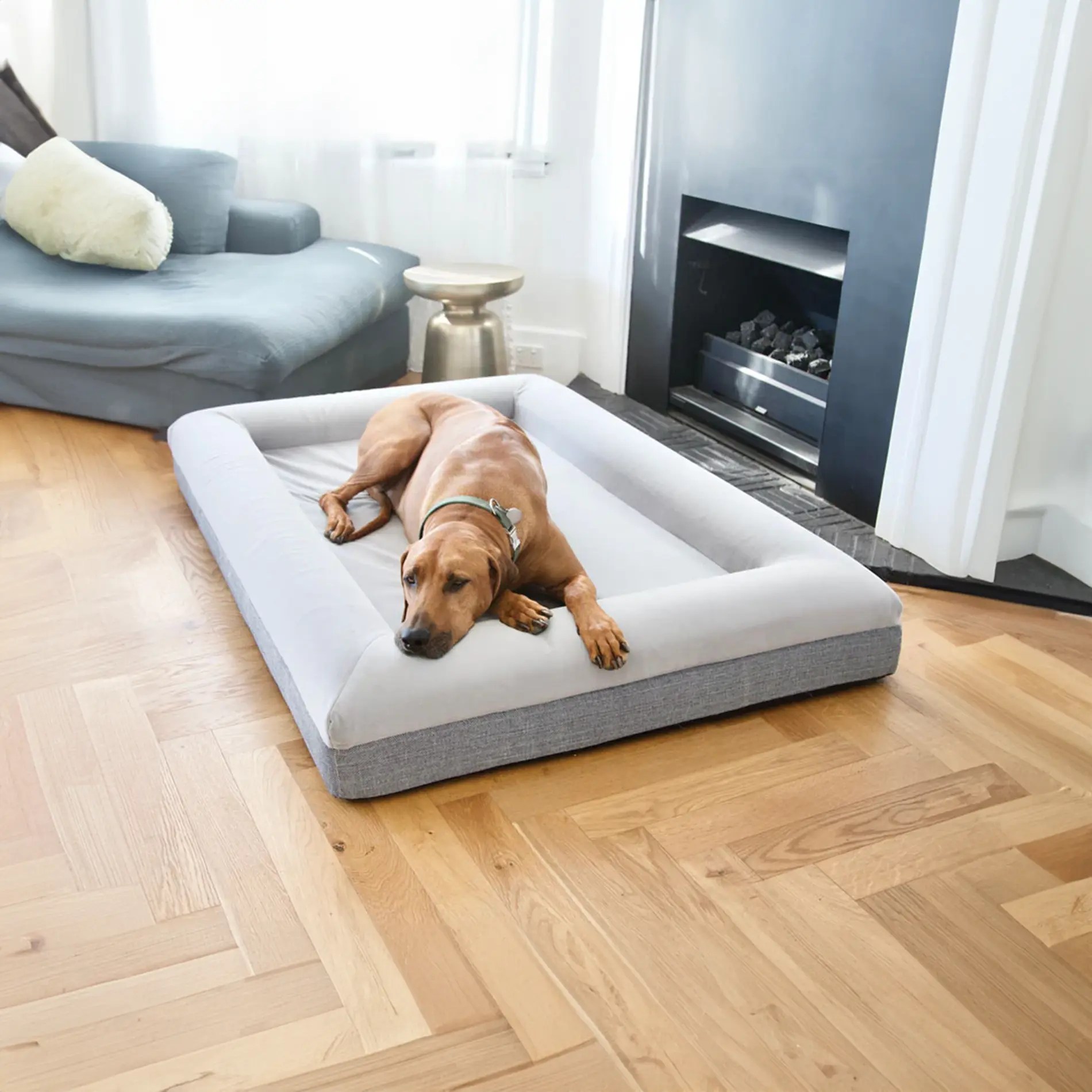Barney Bed