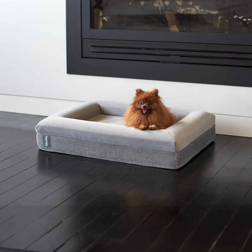Barney Bed