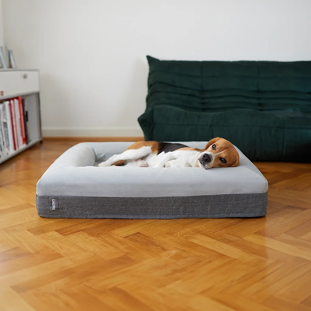 Barney Bed