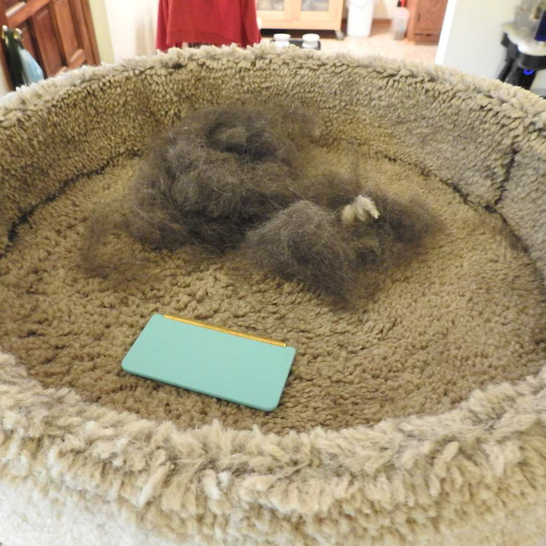 The Ultimate Uproot Clean Bundle – All Cleaners & Deshedder