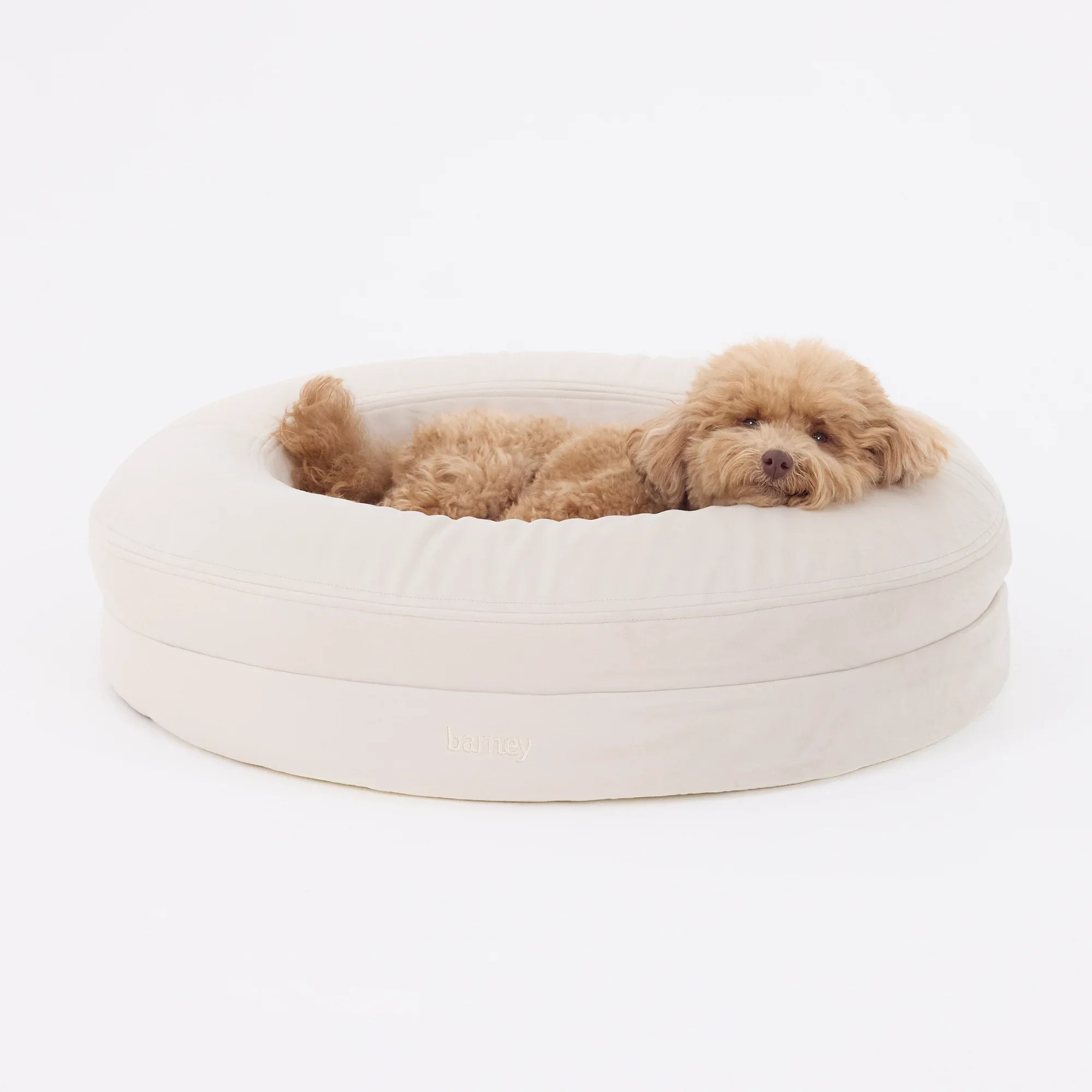 Signature Cover Curl