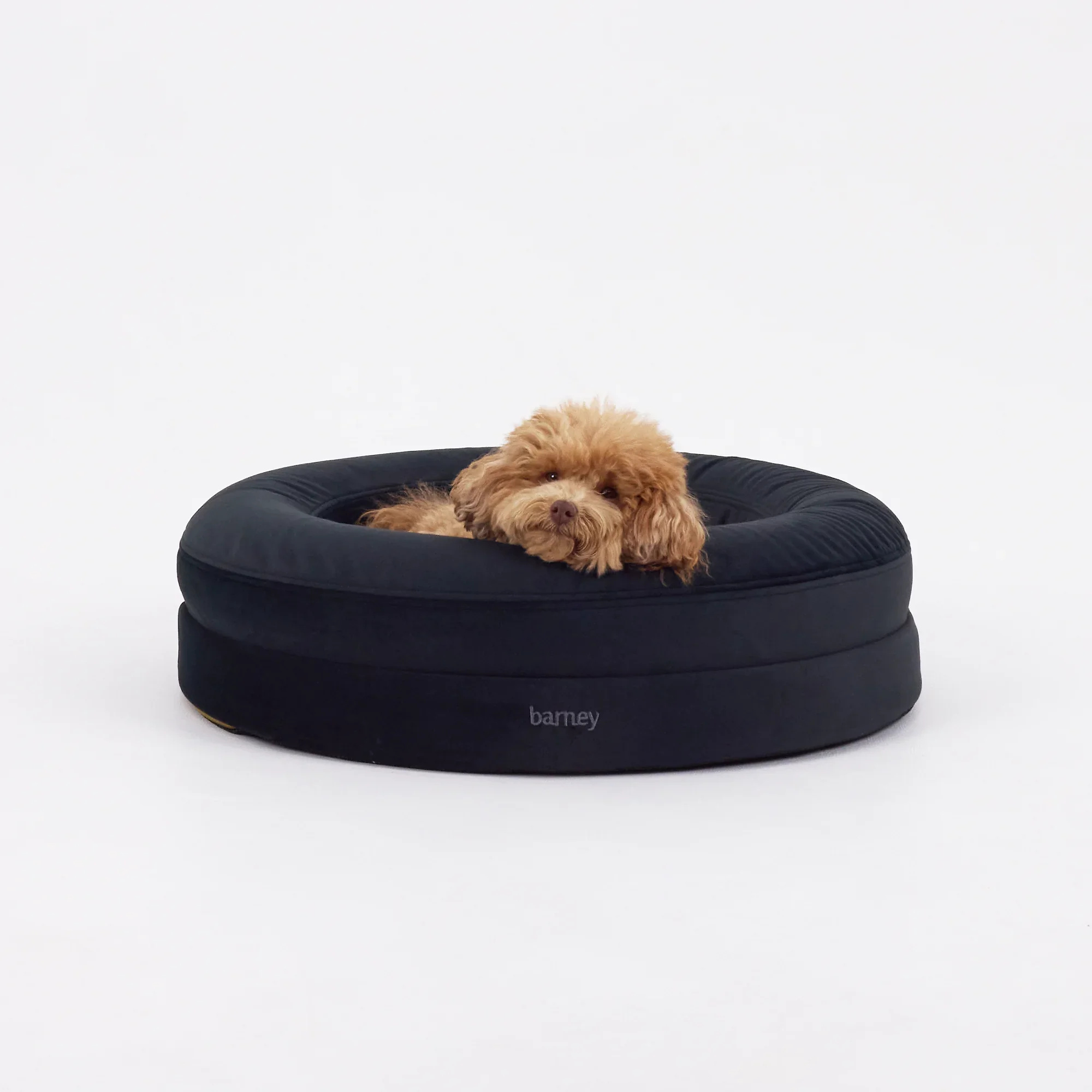 Signature Cover Curl