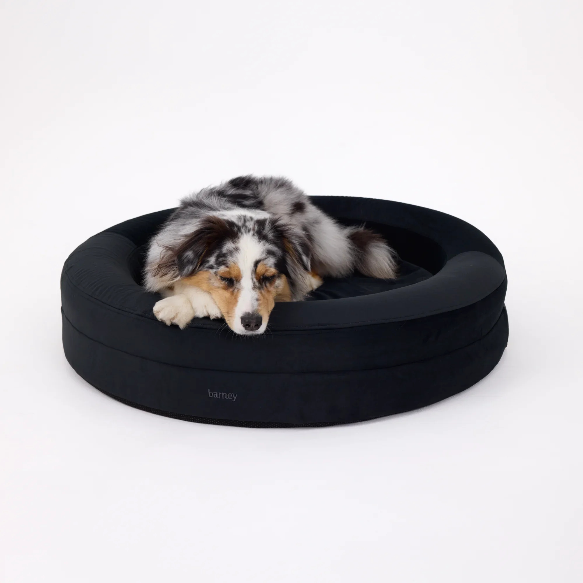 Signature Cover Curl