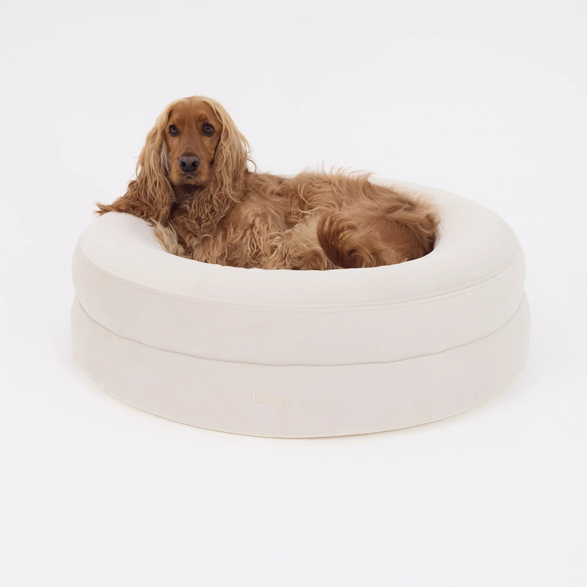 Signature Cover Curl