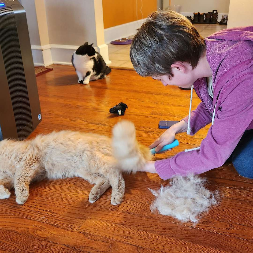 The Ultimate Uproot Clean Bundle – All Cleaners & Deshedder