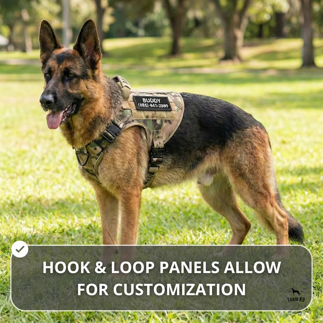 10-In-1 Tactical K9 Harness System – Full Harness Bundle (Includes: Tactical No-Pull Dog Harness + Bungee Leash + Collar + MOLLE Pouches + First Aid Kit + 12 Hook & Loop Patches + Dog Goggles + Safety Belt + Travel Water Bowl + Dog Waste Bags & Pouch)