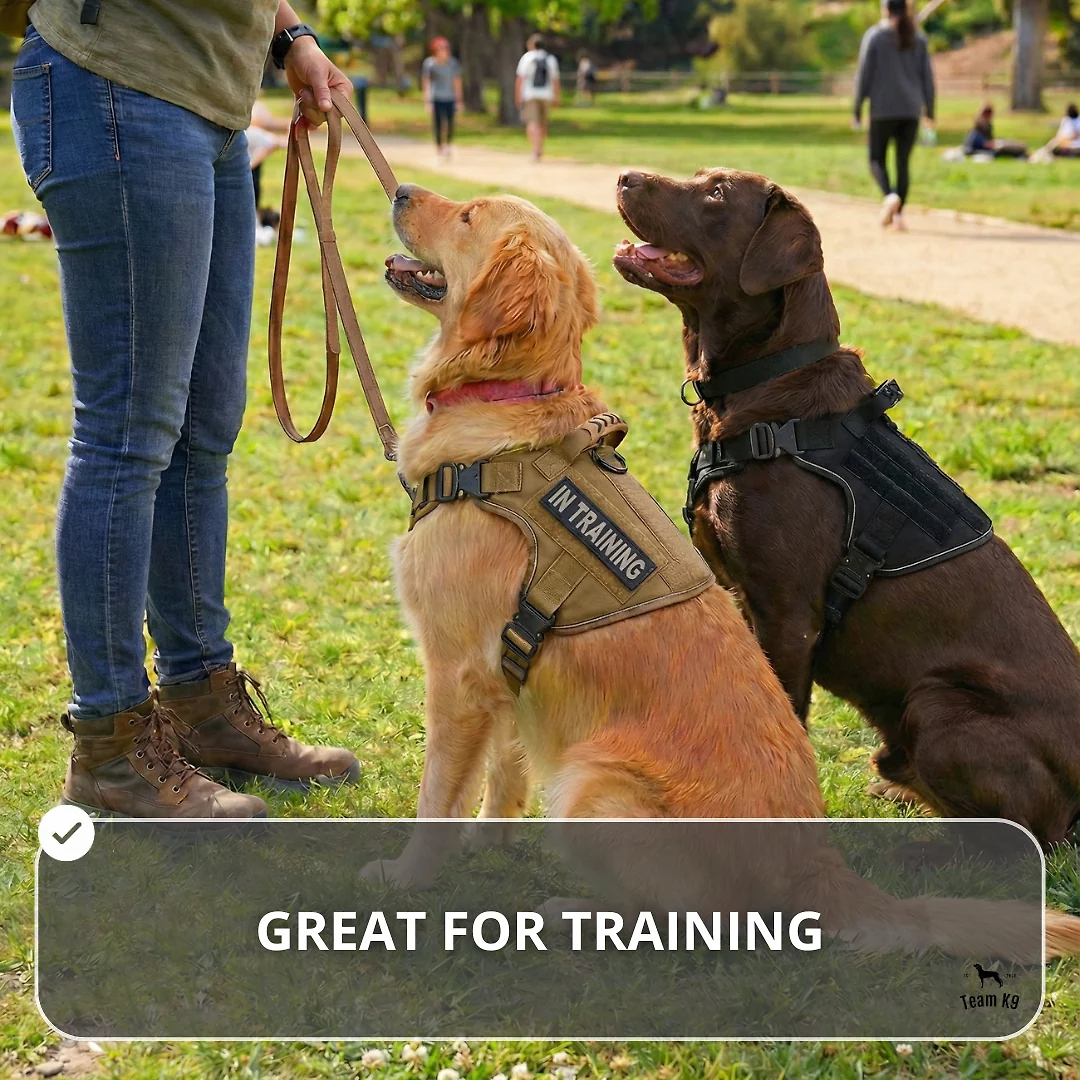 10-In-1 Tactical K9 Harness System – Full Harness Bundle (Includes: Tactical No-Pull Dog Harness + Bungee Leash + Collar + MOLLE Pouches + First Aid Kit + 12 Hook & Loop Patches + Dog Goggles + Safety Belt + Travel Water Bowl + Dog Waste Bags & Pouch)