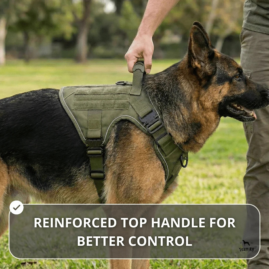 10-In-1 Tactical K9 Harness System – Full Harness Bundle (Includes: Tactical No-Pull Dog Harness + Bungee Leash + Collar + MOLLE Pouches + First Aid Kit + 12 Hook & Loop Patches + Dog Goggles + Safety Belt + Travel Water Bowl + Dog Waste Bags & Pouch)