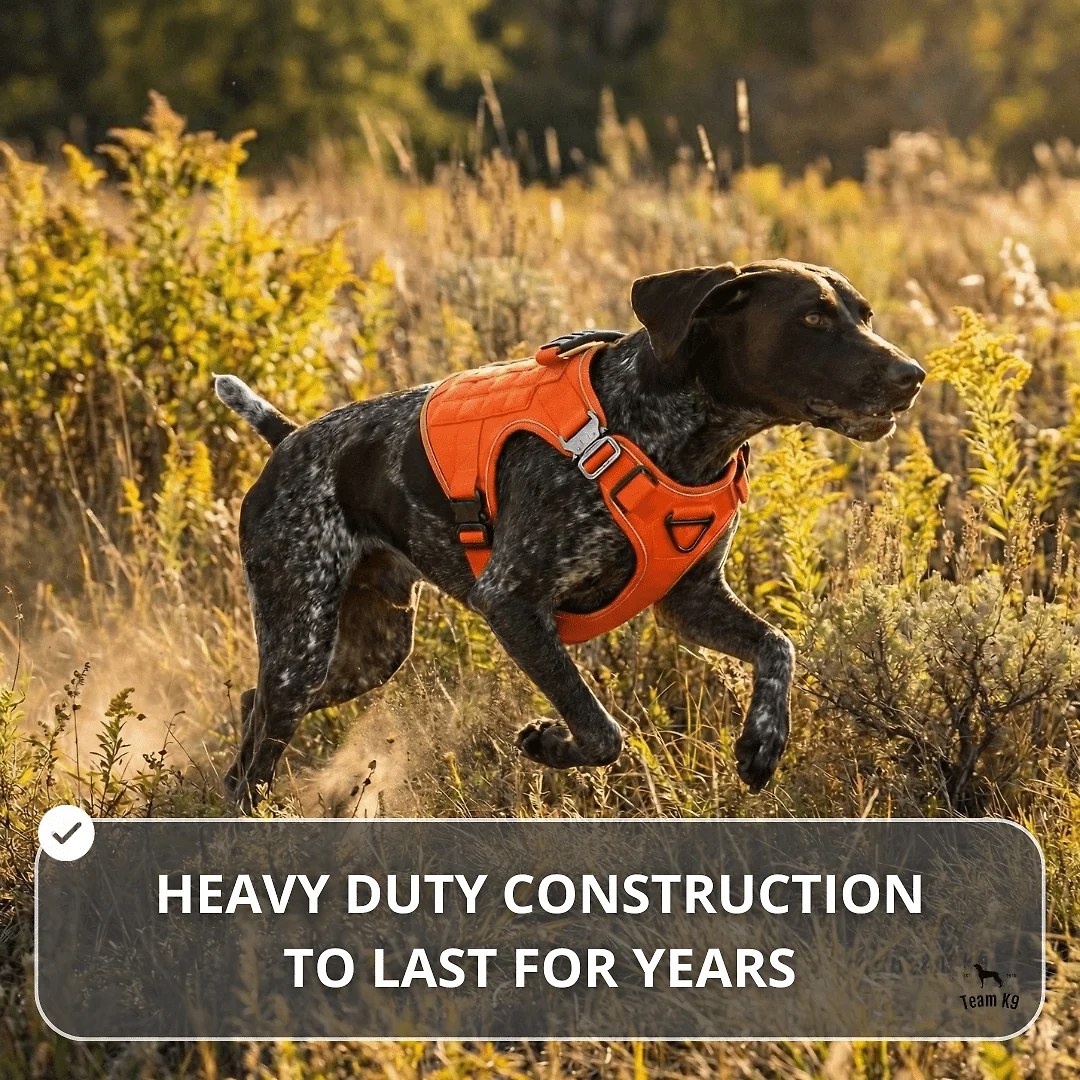 10-In-1 Tactical K9 Harness System – Full Harness Bundle (Includes: Tactical No-Pull Dog Harness + Bungee Leash + Collar + MOLLE Pouches + First Aid Kit + 12 Hook & Loop Patches + Dog Goggles + Safety Belt + Travel Water Bowl + Dog Waste Bags & Pouch)
