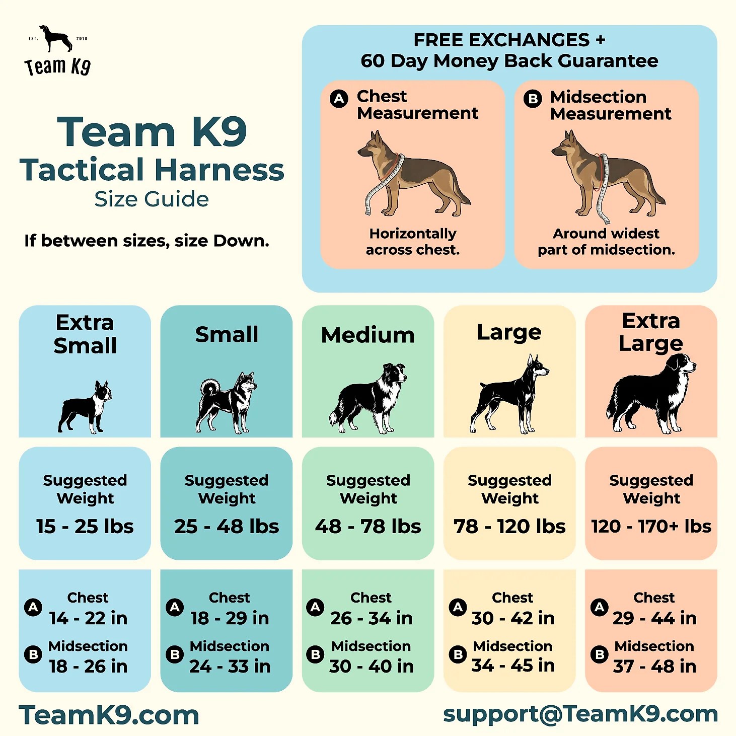 10-In-1 Tactical K9 Harness System – Full Harness Bundle (Includes: Tactical No-Pull Dog Harness + Bungee Leash + Collar + MOLLE Pouches + First Aid Kit + 12 Hook & Loop Patches + Dog Goggles + Safety Belt + Travel Water Bowl + Dog Waste Bags & Pouch)