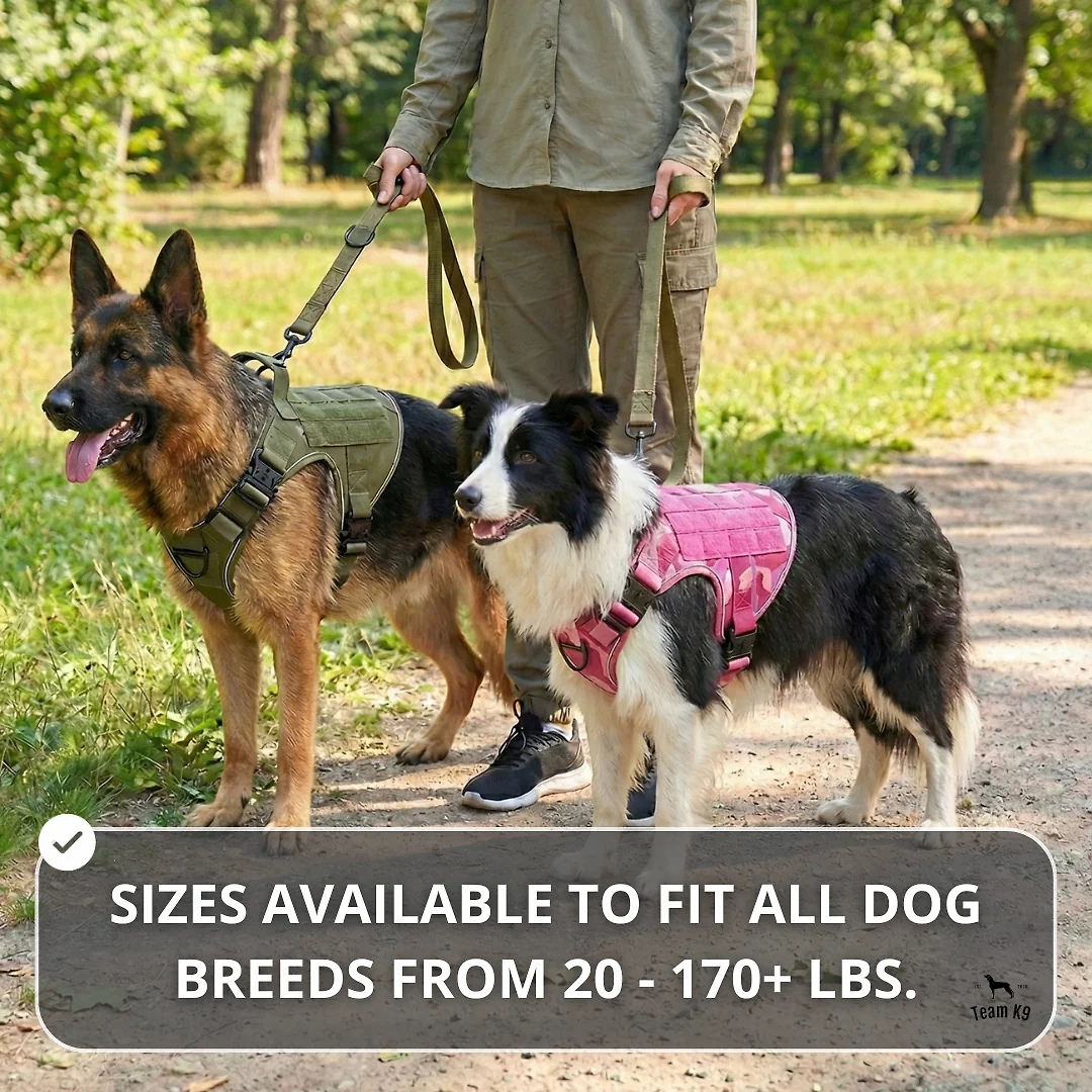 10-In-1 Tactical K9 Harness System – Full Harness Bundle (Includes: Tactical No-Pull Dog Harness + Bungee Leash + Collar + MOLLE Pouches + First Aid Kit + 12 Hook & Loop Patches + Dog Goggles + Safety Belt + Travel Water Bowl + Dog Waste Bags & Pouch)