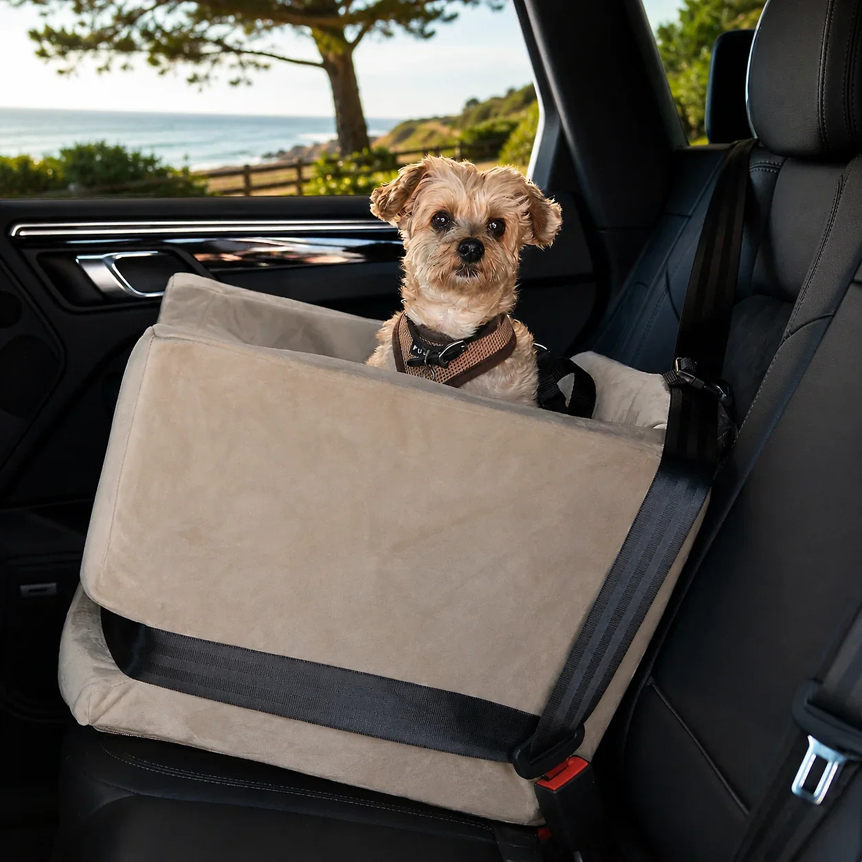 Companion Car Seat®