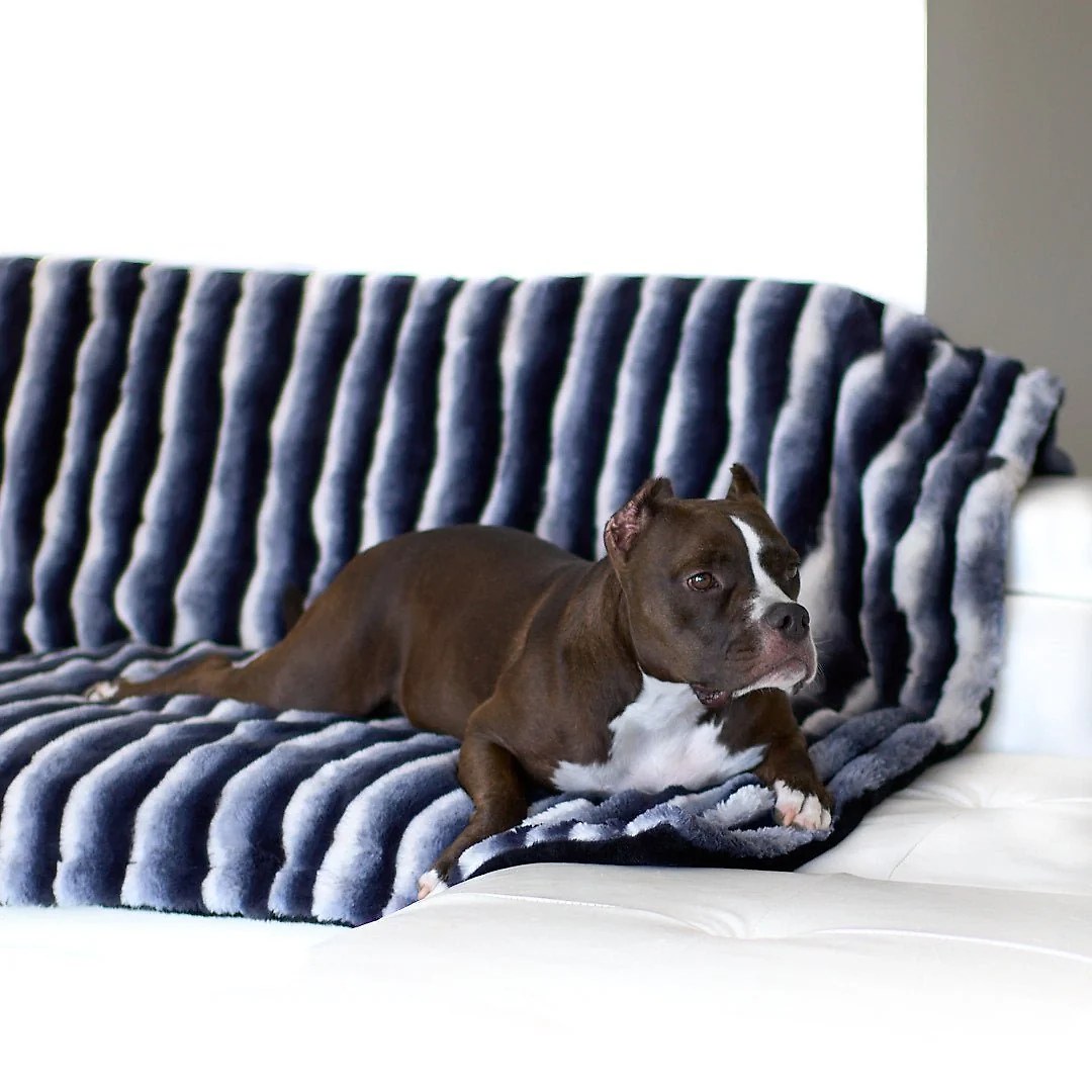 Cozy Chinchilla Faux Fur Luxury Dog Blanket