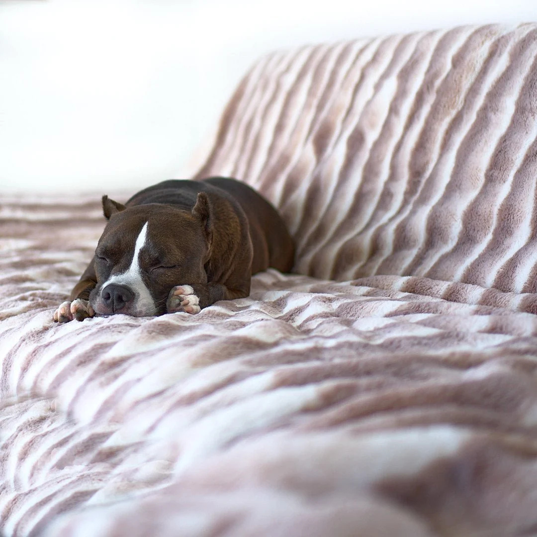 Cozy Chinchilla Faux Fur Luxury Dog Blanket