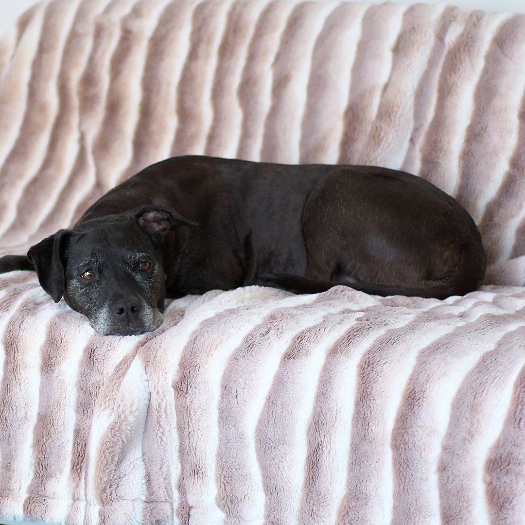 Cozy Chinchilla Faux Fur Luxury Dog Blanket