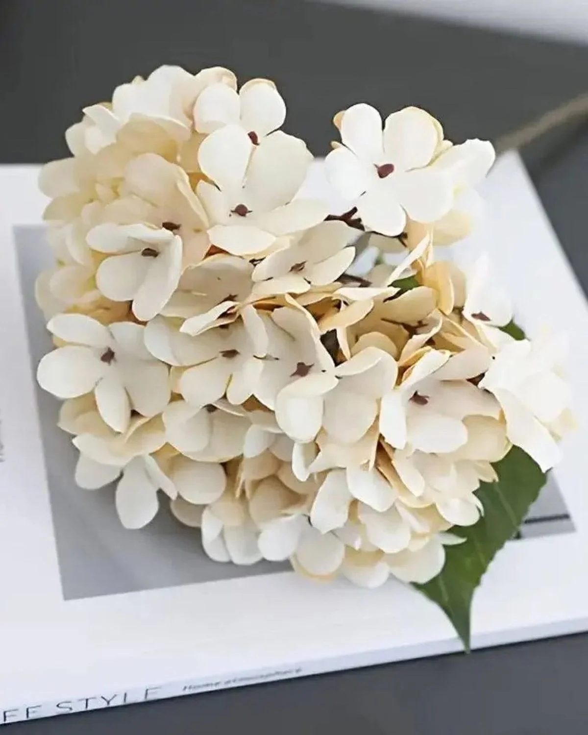 Artificial Short Soft Cream Hydrangea Stem Faux Flower Decor