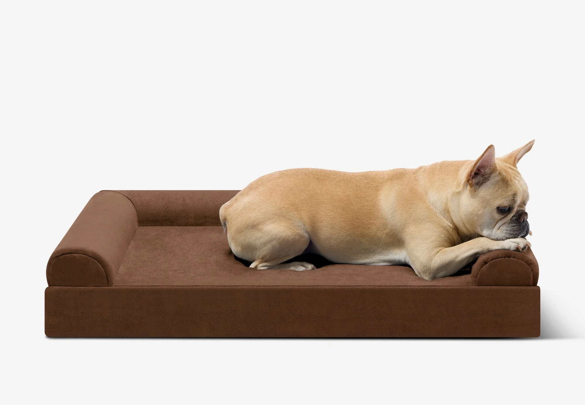 Junior Orthopedic Dog Bed