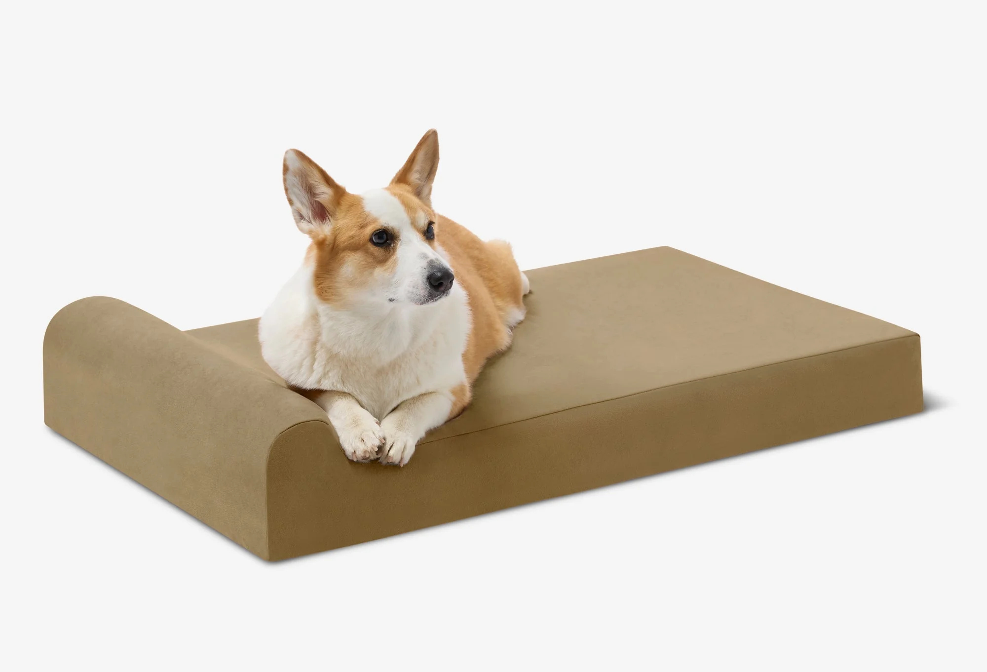 Junior Orthopedic Dog Bed