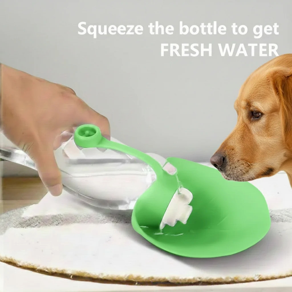 Portable Water Bottle