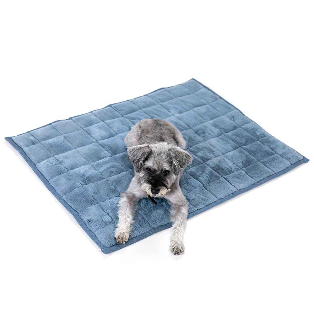 Nomad Nap Travel & Portable Dog Bed