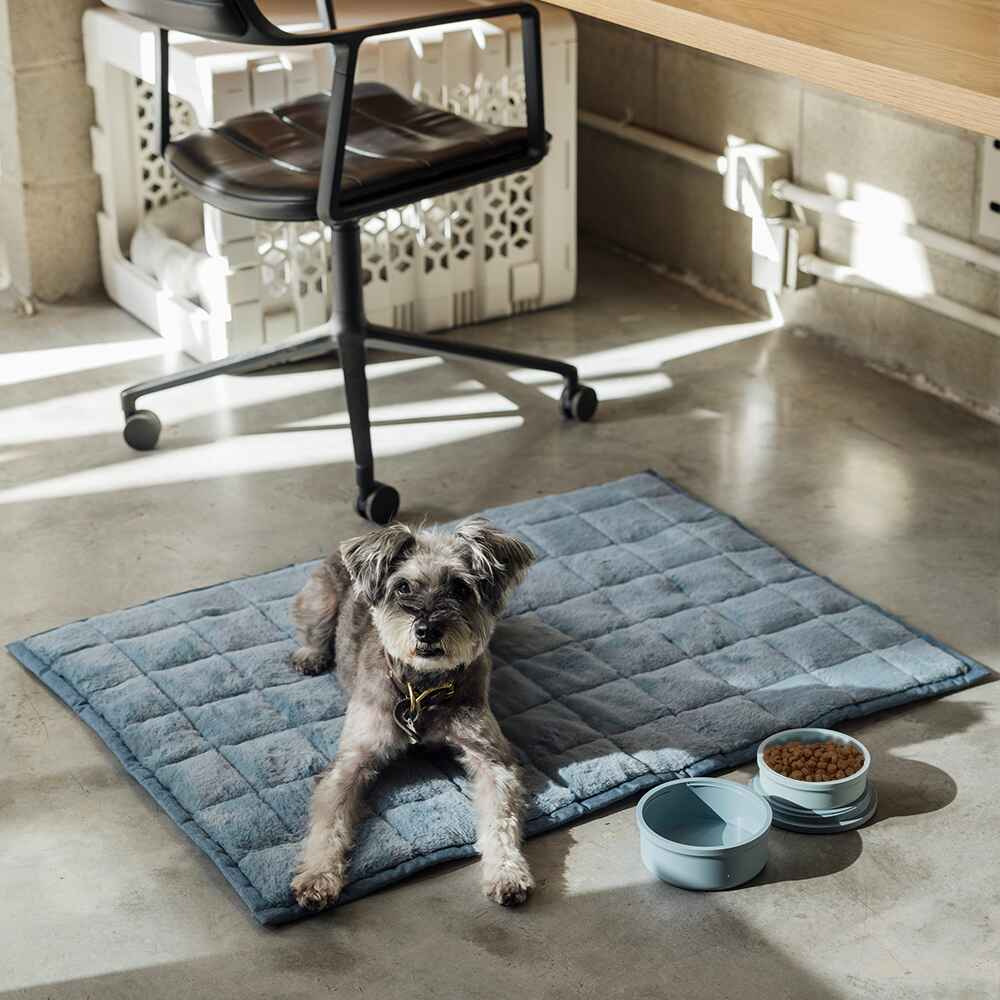 Nomad Nap Travel & Portable Dog Bed