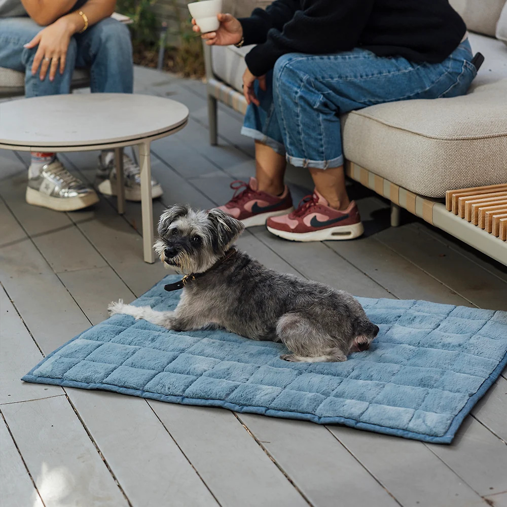 Nomad Nap Travel & Portable Dog Bed