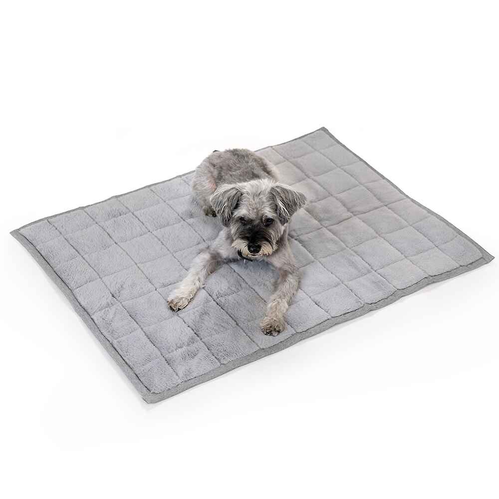 Nomad Nap Travel & Portable Dog Bed