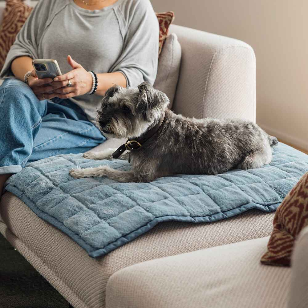 Nomad Nap Travel & Portable Dog Bed