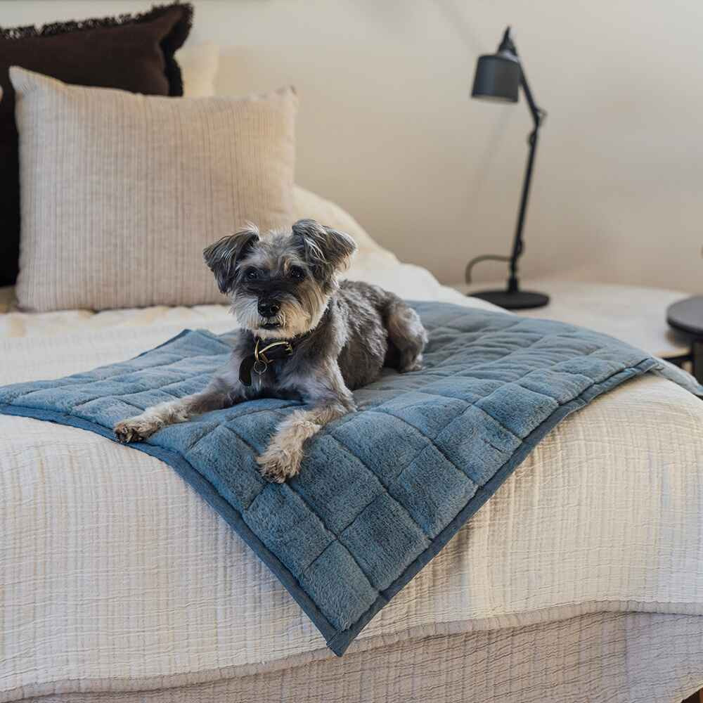 Nomad Nap Travel & Portable Dog Bed
