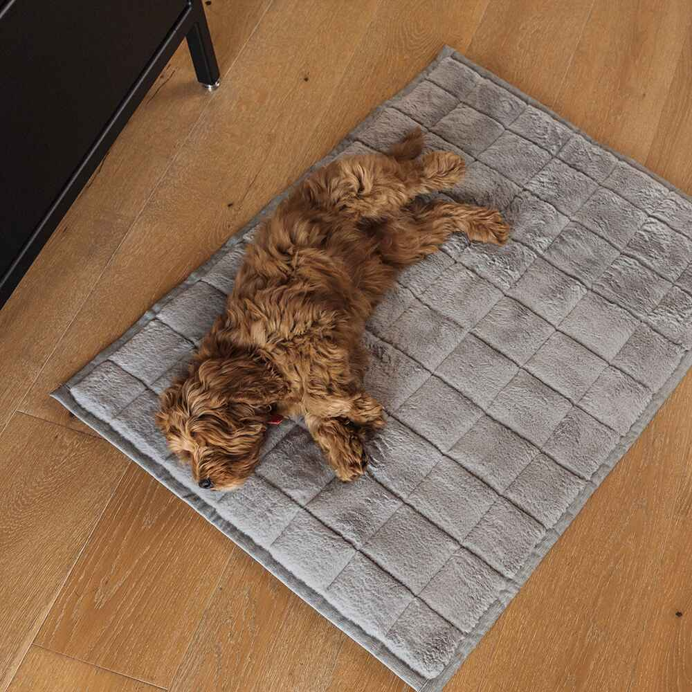 Nomad Nap Travel & Portable Dog Bed