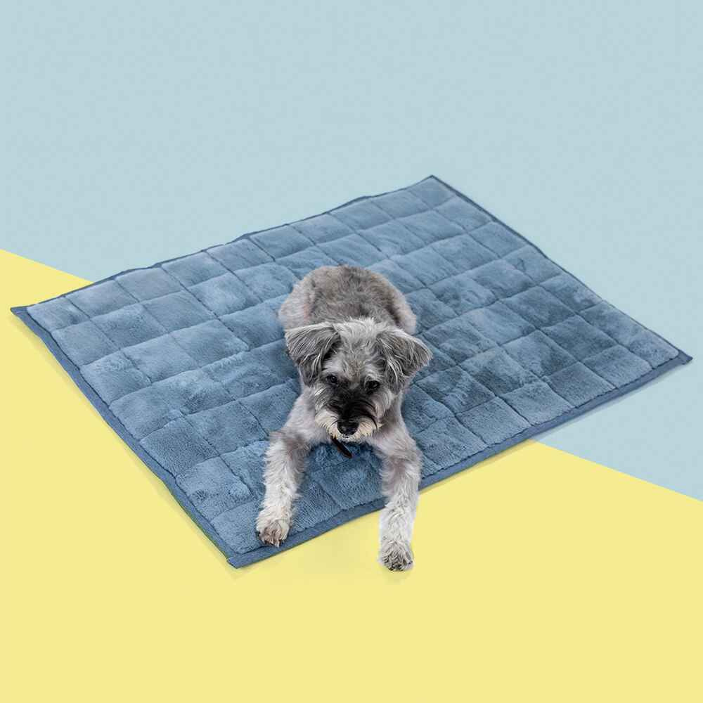 Nomad Nap Travel & Portable Dog Bed