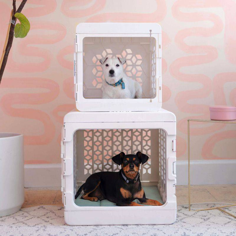 PAWD® Modern Collapsible Dog Crate