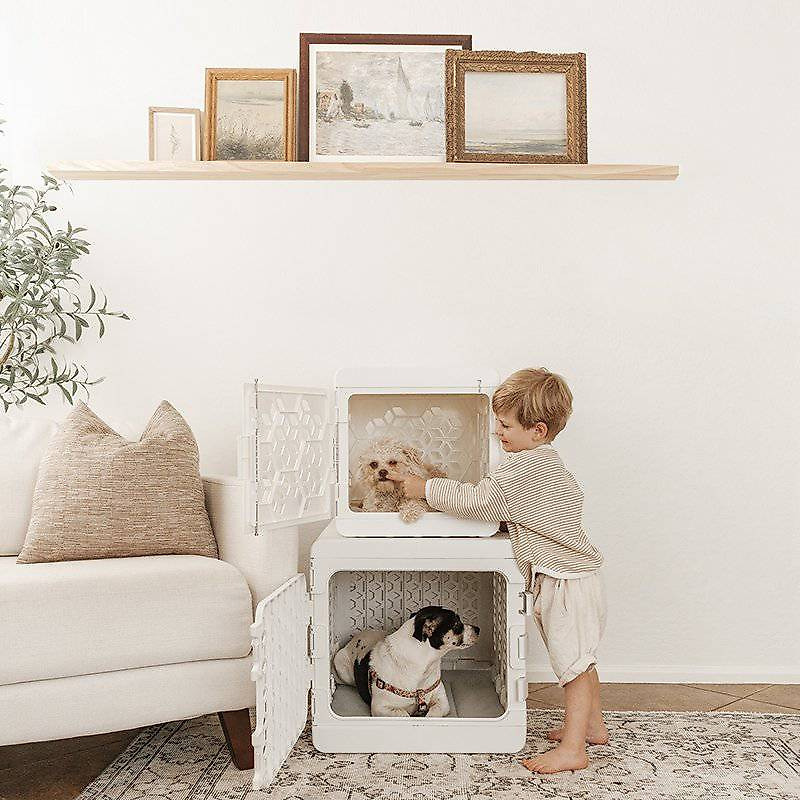 PAWD® Modern Collapsible Dog Crate