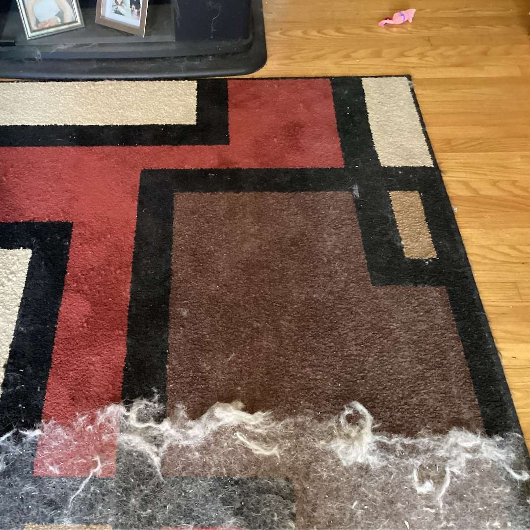Uproot Cleaner Kits™