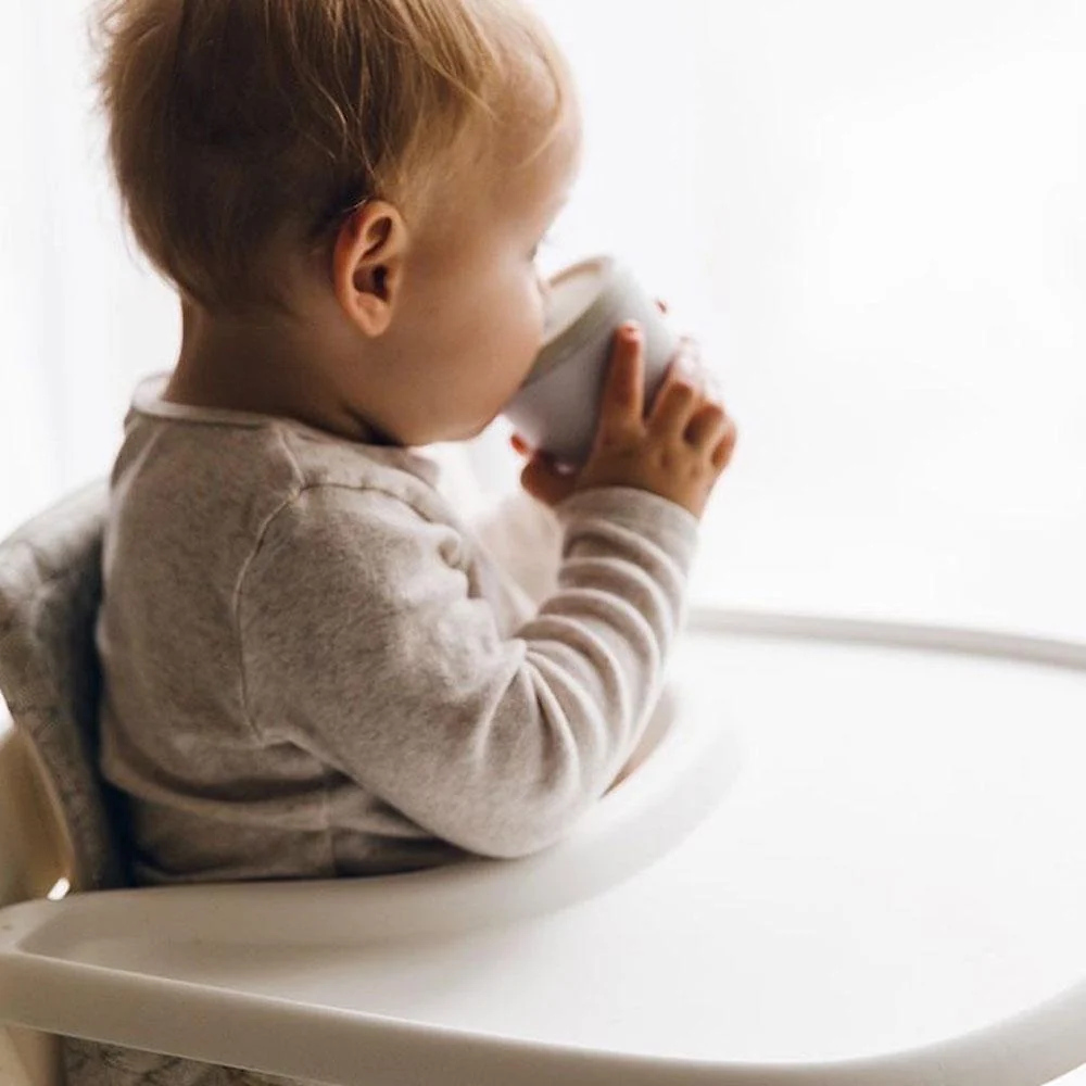 Toddler Sippy Cup
