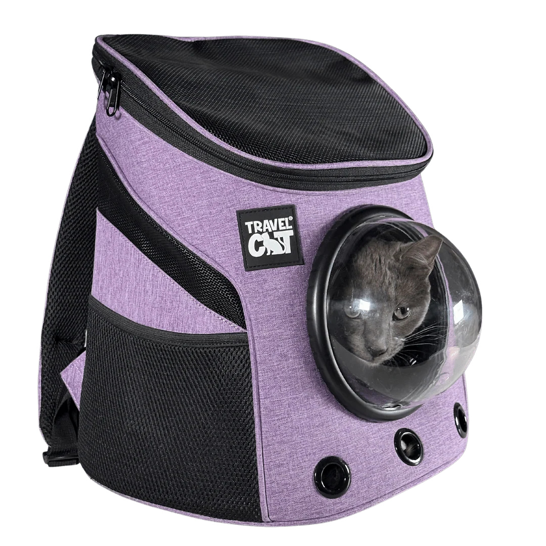 The Fat Cat Mini Cat Backpack