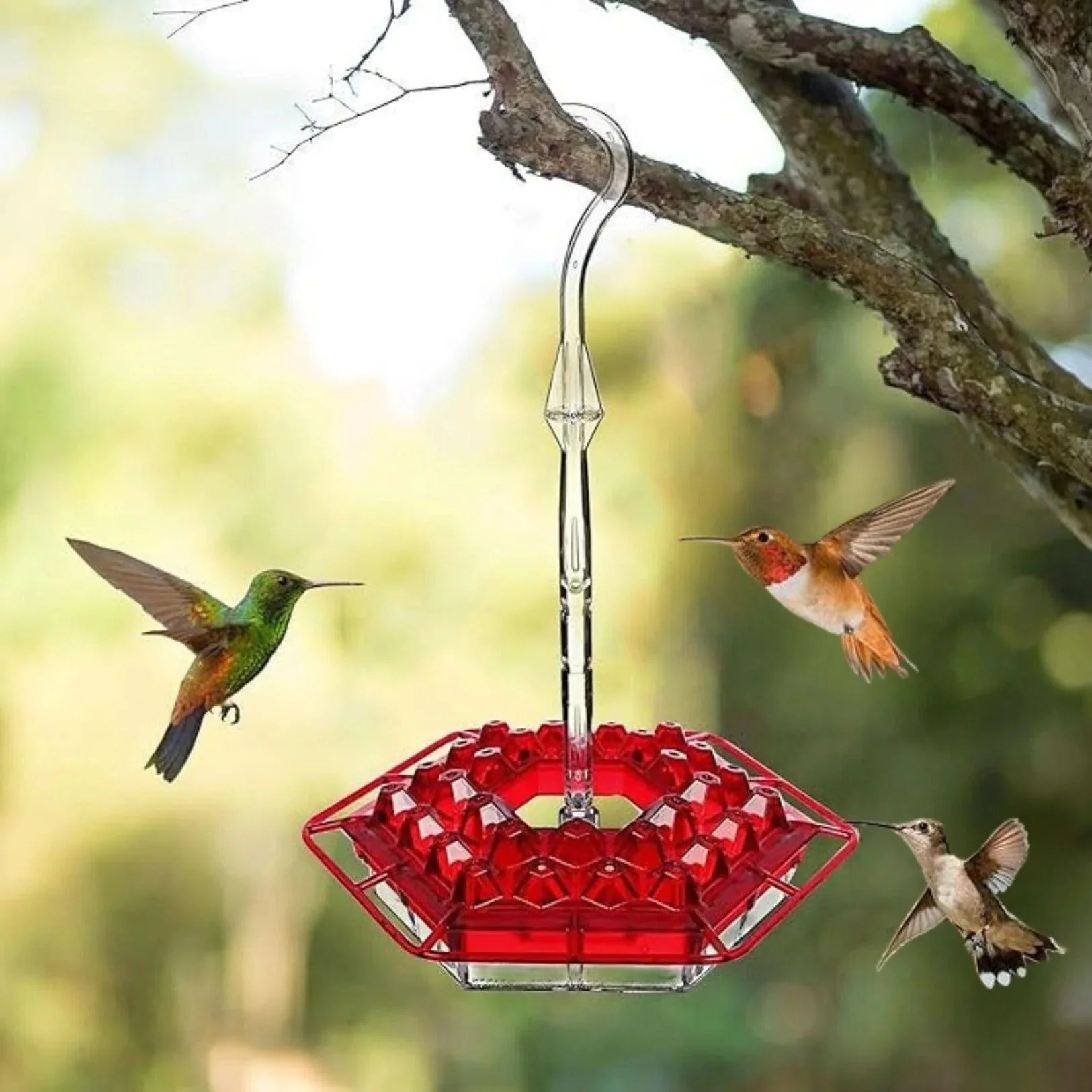 Ant Proof Outdoor Hanging Hummingbird Feeder