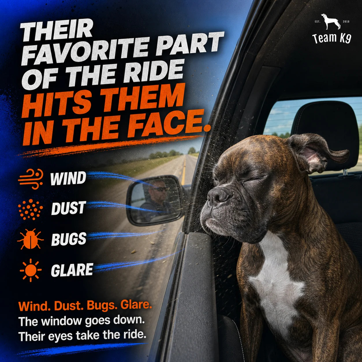 Team K9® Dog Goggles