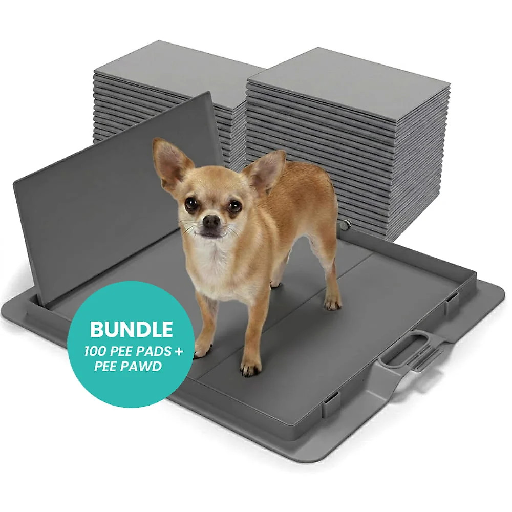 Potty Training Bundle
