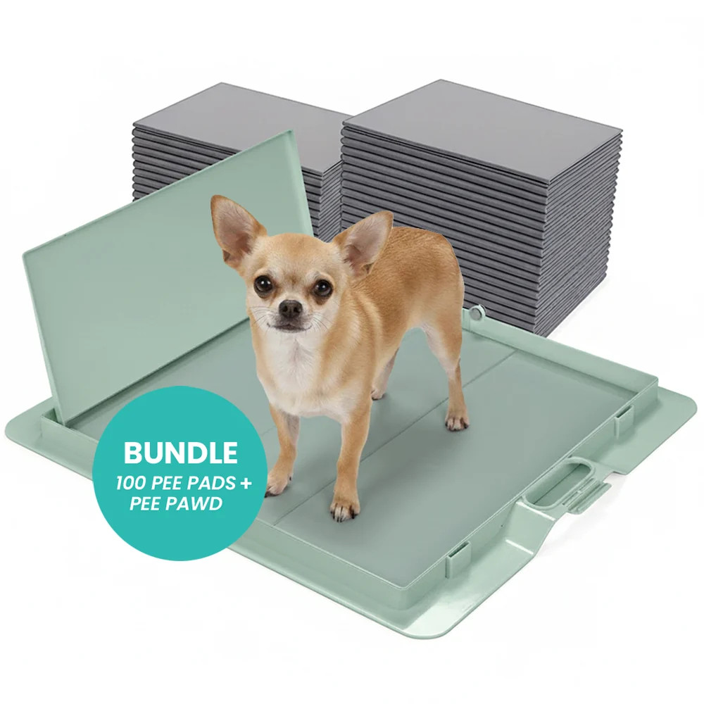 Potty Training Bundle