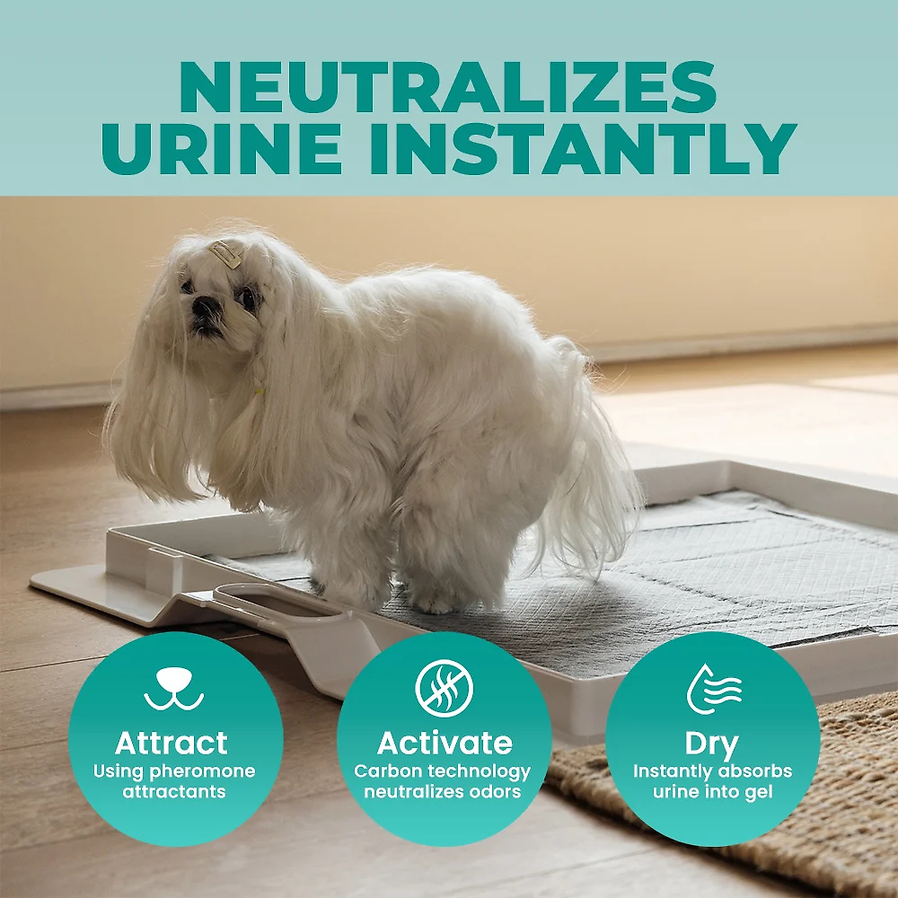 Potty Training Bundle