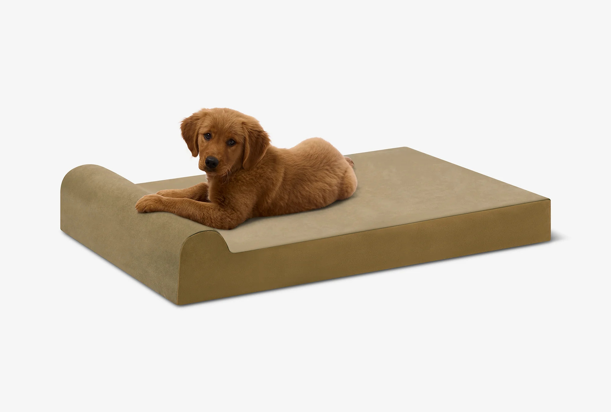 Puppy Bundle | Orthopedic Bed + Covers + Liner
