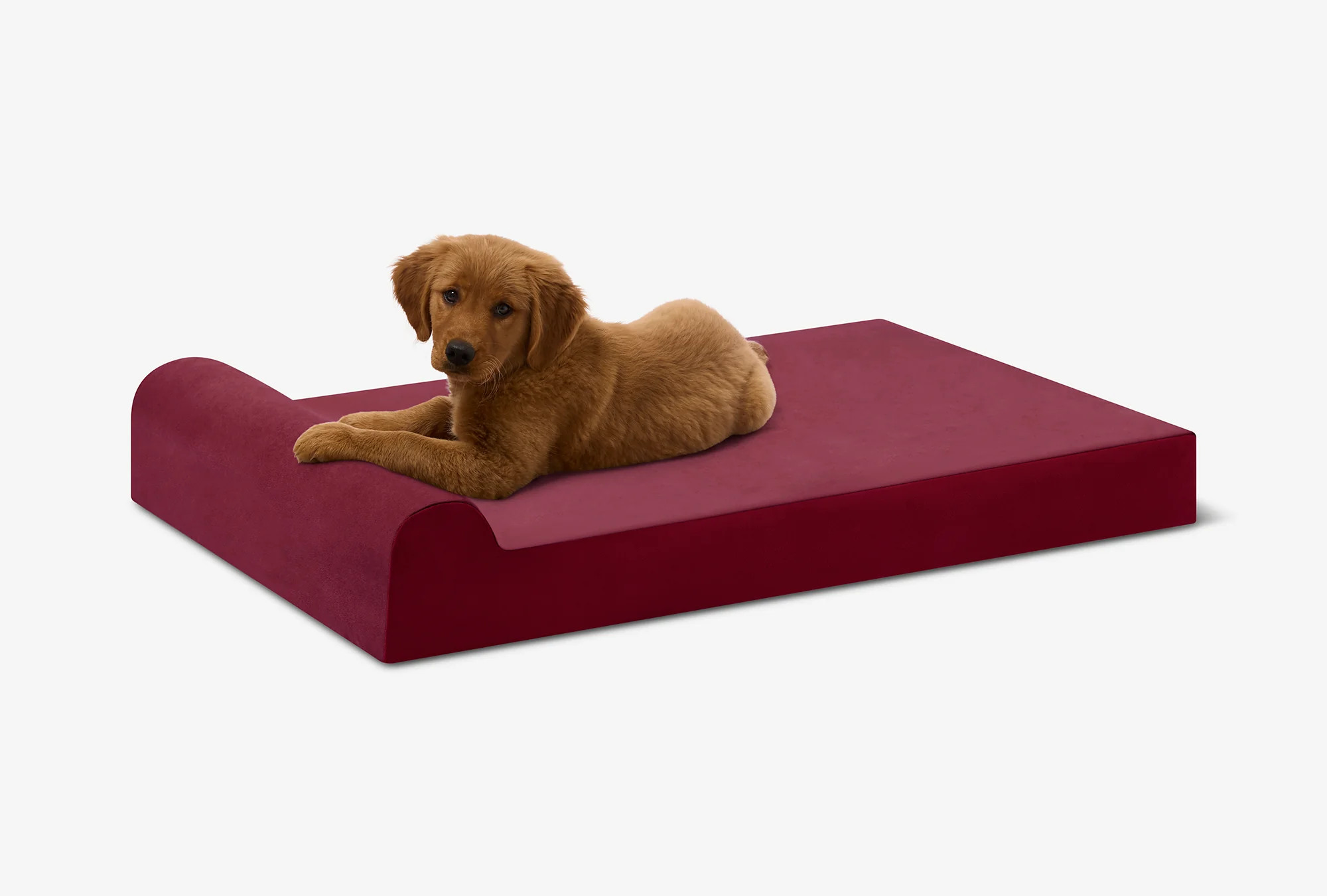 Puppy Bundle | Orthopedic Bed + Covers + Liner