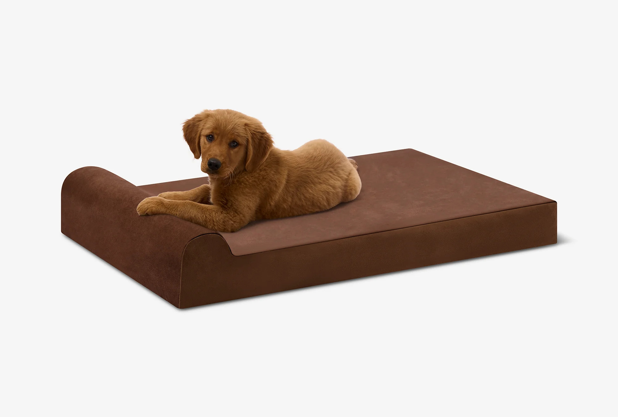 Puppy Bundle | Orthopedic Bed + Covers + Liner