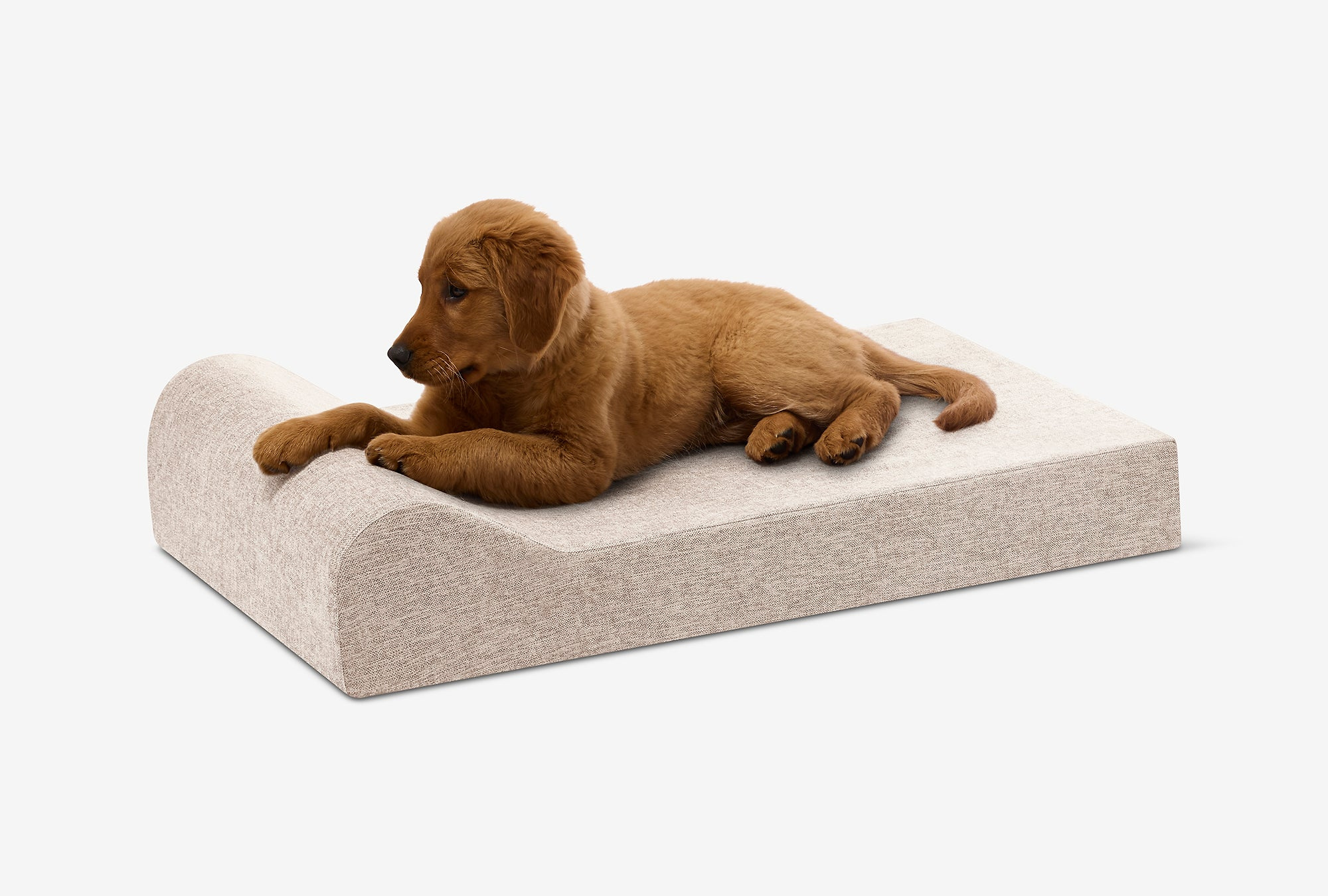 Puppy Bundle | Orthopedic Bed + Covers + Liner