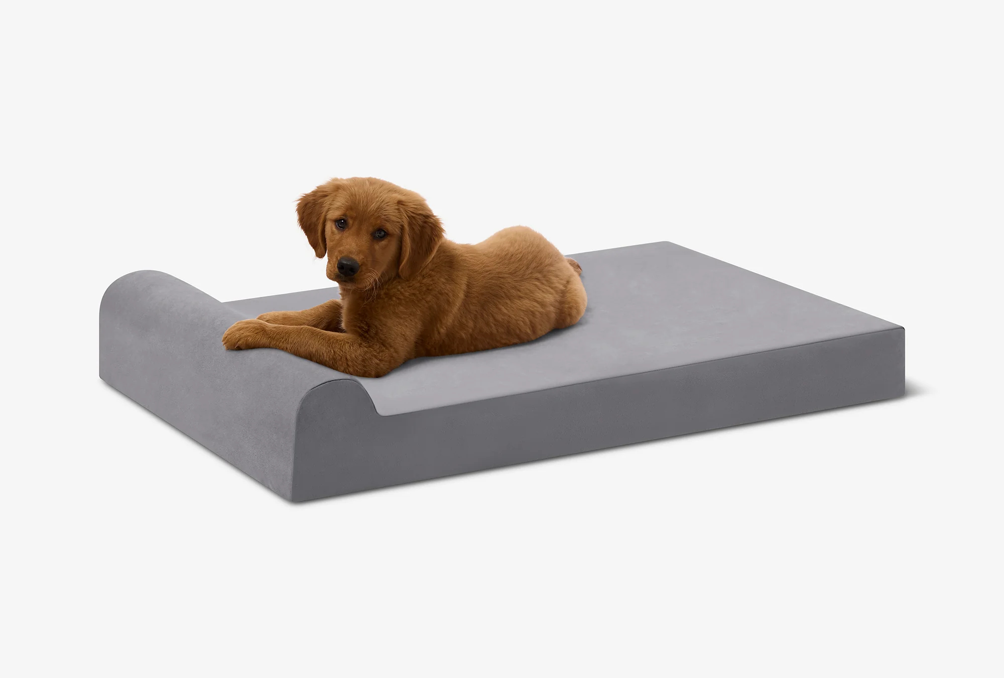 Puppy Bundle | Orthopedic Bed + Covers + Liner